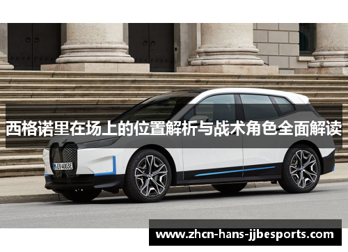 西格诺里在场上的位置解析与战术角色全面解读